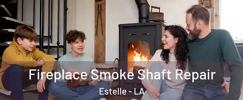 Fireplace Smoke Shaft Repair Estelle - LA