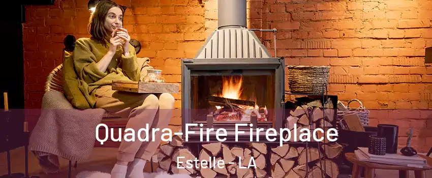  Quadra-Fire Fireplace Estelle - LA